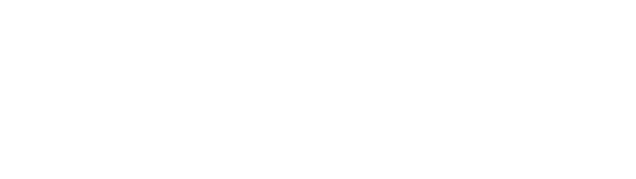 Vértice 81